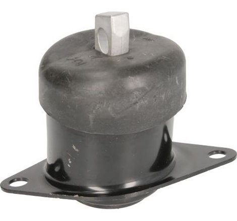 Suport motor - Tedgum-00263592