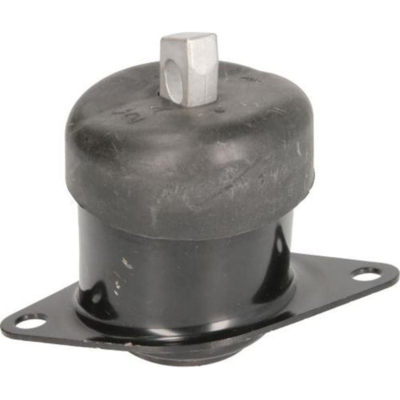 Suport motor - Tedgum-00263592