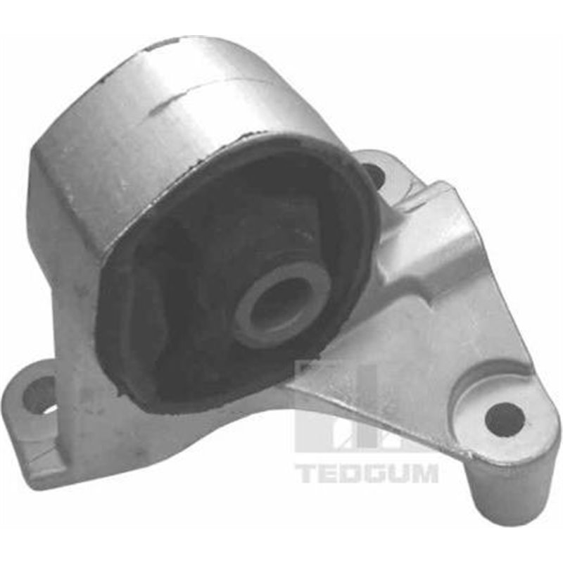 Suport motor - Tedgum-00264833