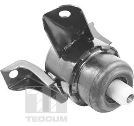 Suport motor - Tedgum-00390515