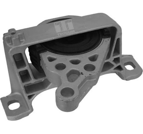 Suport motor - Tedgum-00391638