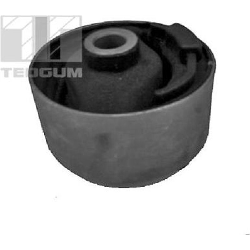 Suport motor - Tedgum-00396561