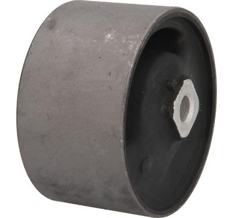 Suport motor - Tedgum-00465454