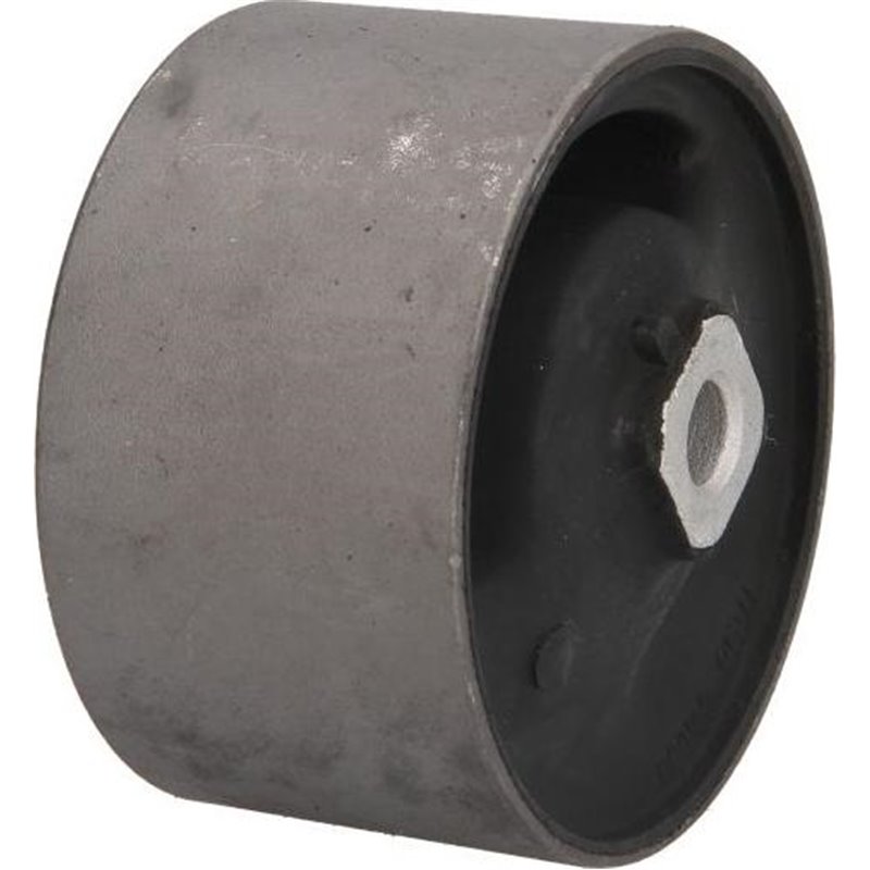 Suport motor - Tedgum-00465454