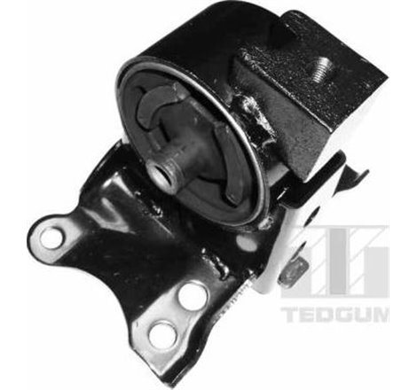 Suport motor - Tedgum-00466350