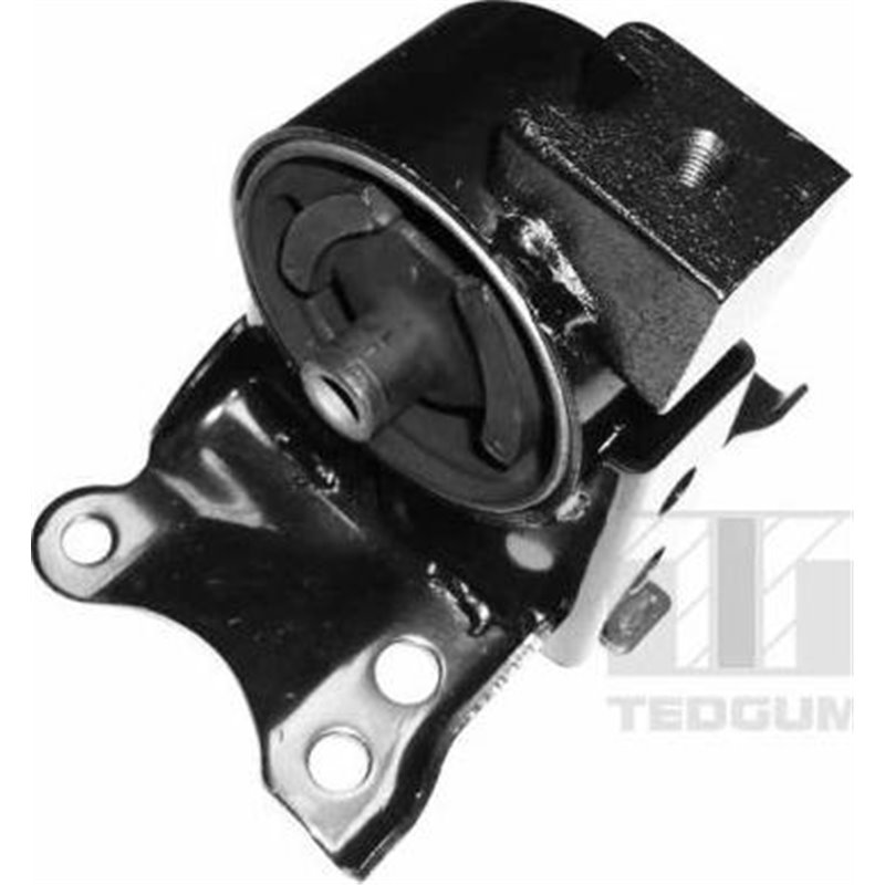 Suport motor - Tedgum-00466350