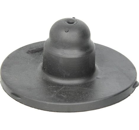 Saiba arc - Tedgum-00504082