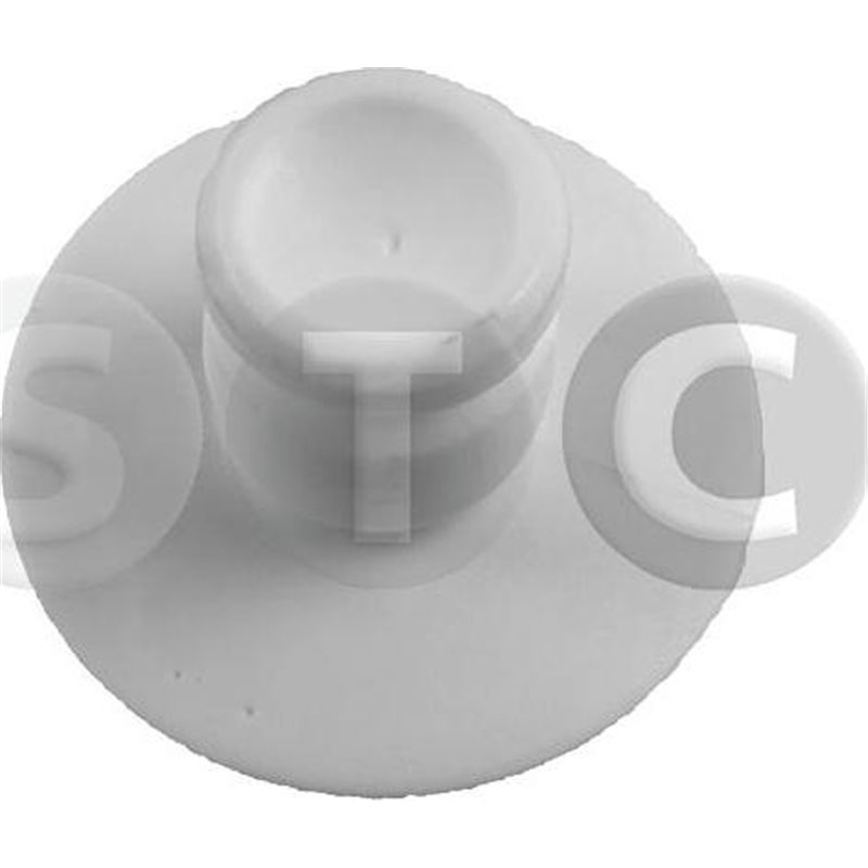 Saiba arc - Tedgum-00504086