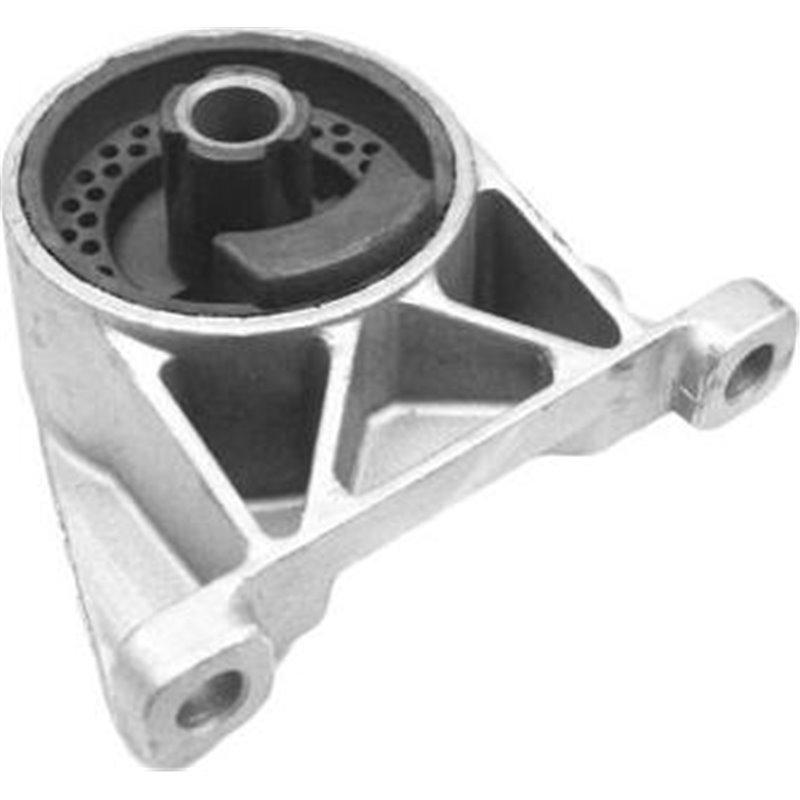 Suport motor - Tedgum-00509064