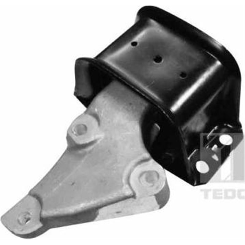 Suport motor - Tedgum-00516309