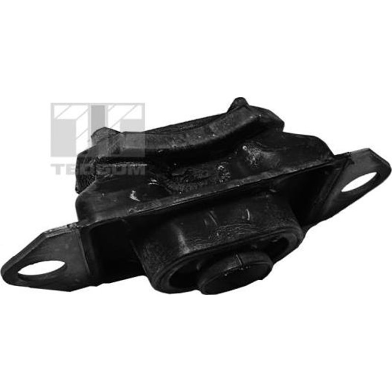 Suport motor - Tedgum-00580818