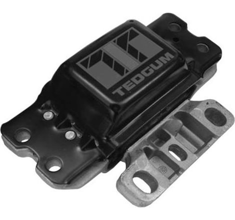 Suport motor - Tedgum-00722490