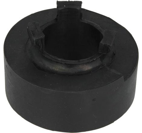 Saiba arc - Tedgum-00725792