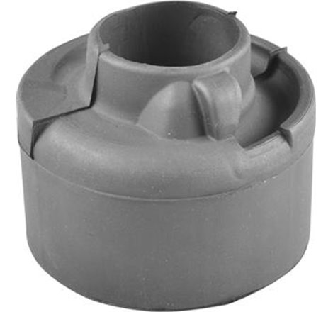 Saiba arc - Tedgum-00725793