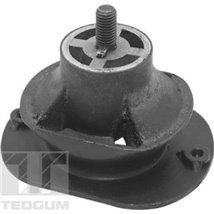 Suport motor - Tedgum-TED40521