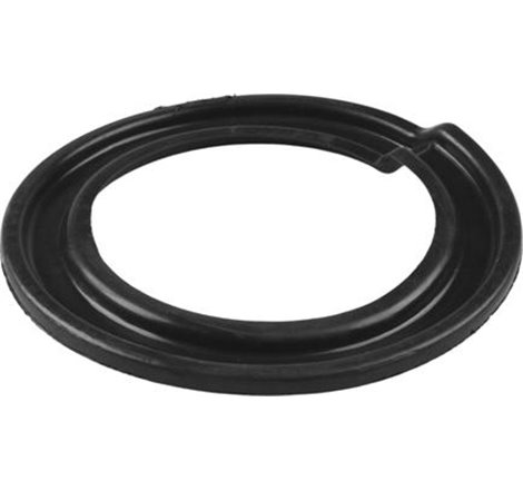 Saiba arc - Tedgum-TED87879