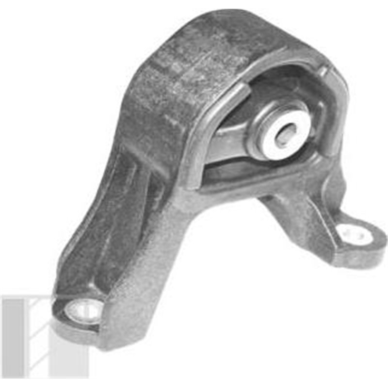 Rulment, diferential - Tedgum-TED98330