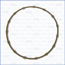 Garnitura termostat - Ajusa-01222000