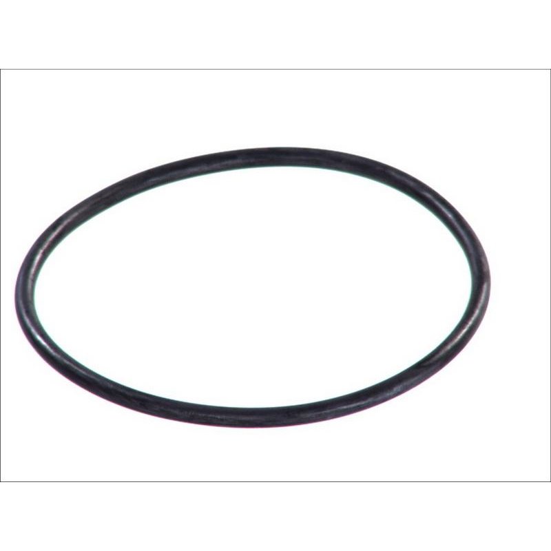 Garnitura. pompa de apa - Topran-100 572 - Topran-100 572