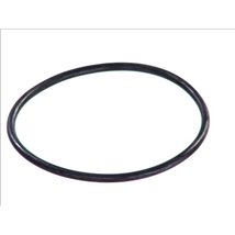 Garnitura. pompa de apa - Topran-100 572 - Topran-100 572