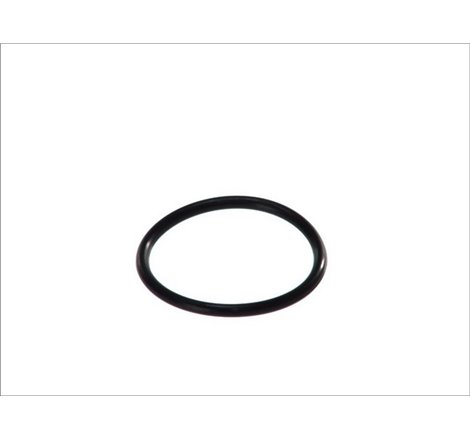 Garnitura termostat - Topran-100 618 - Topran-100 618