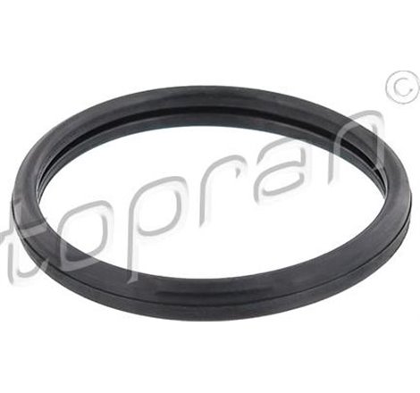 Garnitura termostat - Topran-302 262 - Topran-302 262