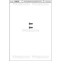 Surub, disc frana - Triscan-8105116008