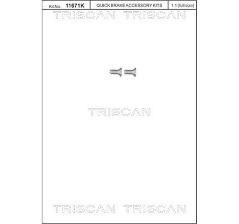 Surub, disc frana - Triscan-8105116012