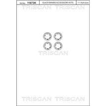 Surub, disc frana - Triscan-8105116014