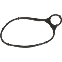 Garnitura, pompa vacuum - Ajusa-01302500