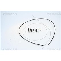 Cablu acceleratie - Triscan-814025314