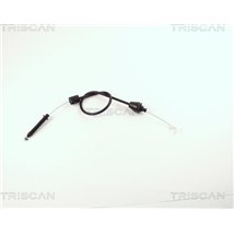 Cablu acceleratie - Triscan-814025318