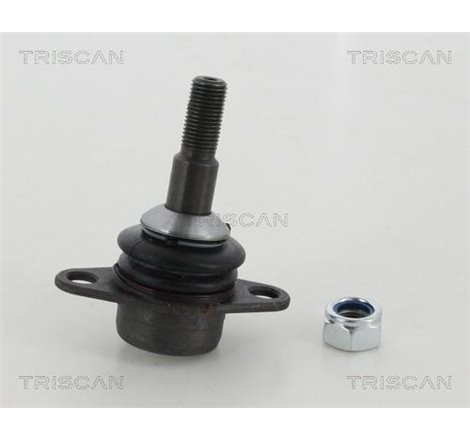 Articulatie sarcina / ghidare - Triscan-8500115053