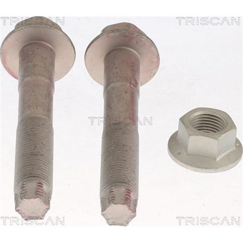 Set reparatie, suspensie - Triscan-850013401