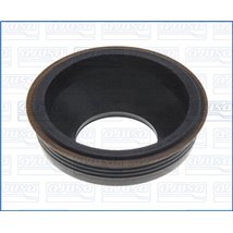 Scut protectie termica, inst. injectie - Ajusa-01316700