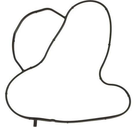 Garnitura, pompa de apa - Ajusa-01323900