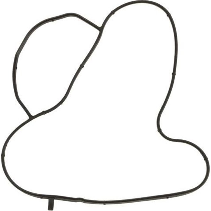 Garnitura, pompa de apa - Ajusa-01323900