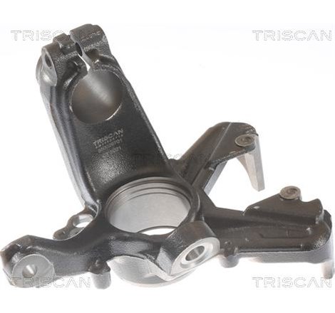 Articulatie directie, suspensie roata - Triscan-850029701