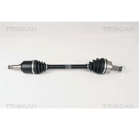 Planetara - Triscan-854015536