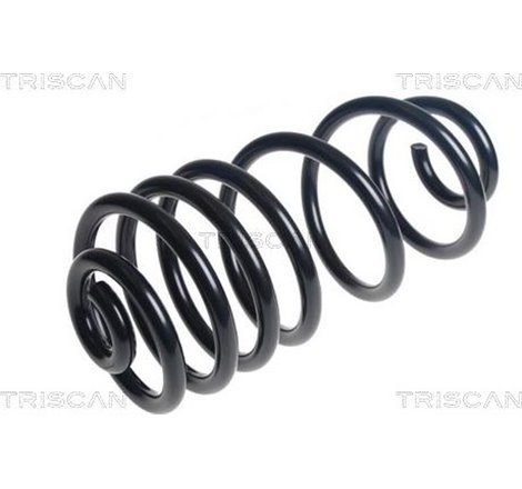 Arc spiral - Triscan-875028314