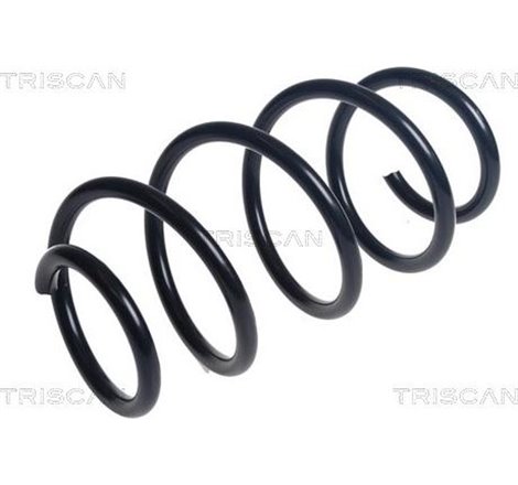 Arc spiral - Triscan-875029486