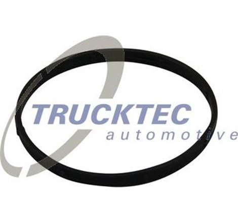 Garnitura, Carcasa galerie admisie - Trucktec Automotive-02.14.174