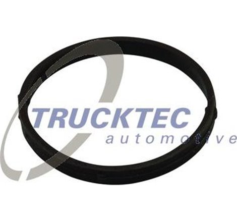 Garnitura, Carcasa galerie admisie - Trucktec Automotive-02.14.175