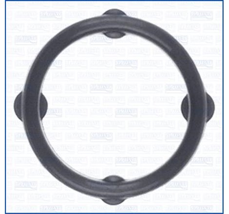 Garnitura, distributie - Ajusa-01463100