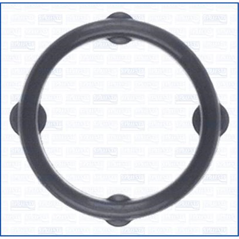 Garnitura, distributie - Ajusa-01463100