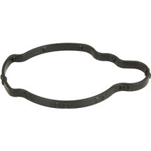 Garnitura termostat - Ajusa-01466600