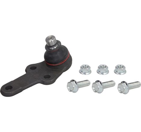 Pivot axa DR-ST inferior fata diametru con 16.5mm. cu suplimente FORD FOCUS I 1.4-2.0 10.98-03.05 - TRW-JBJ656