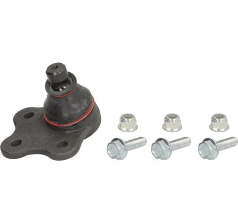 Pivot axa DR-ST exterior-inferior fata diametru con 16.5mm. cu suplimente FORD FIESTA V. FUSION. MAZDA 2 1.2-2.0 11.01-12.12 - T