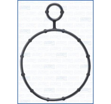 Garnitura, pompa vacuum - Ajusa-01630400