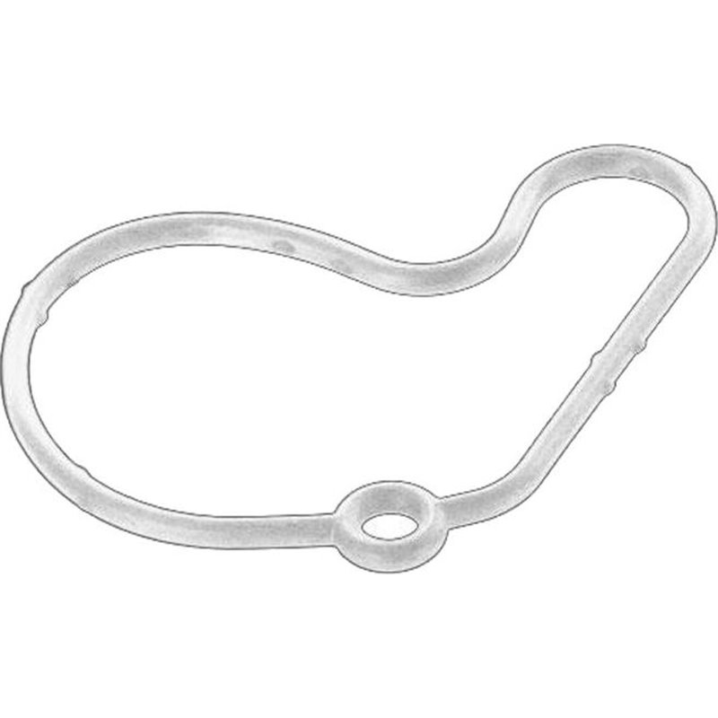 Garnitura, pompa vacuum - VAG-038145345